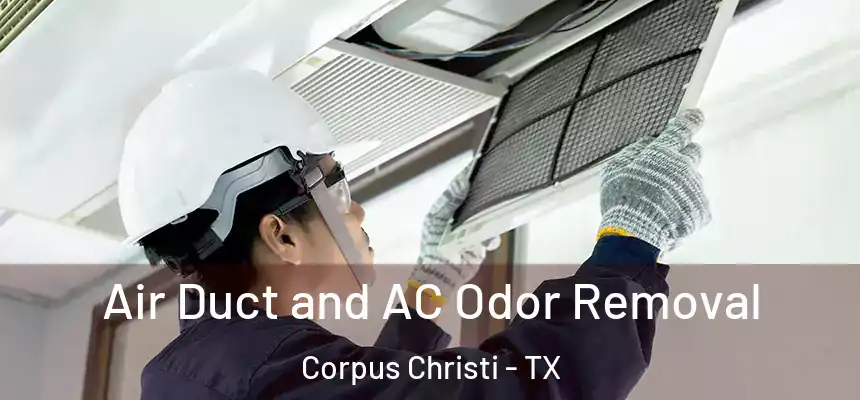 Air Duct and AC Odor Removal Corpus Christi - TX