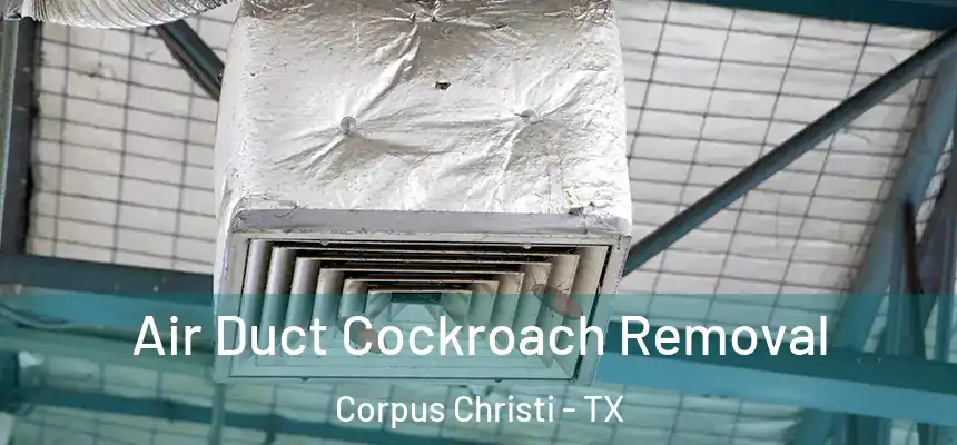 Air Duct Cockroach Removal Corpus Christi - TX