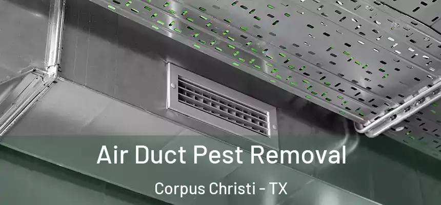 Air Duct Pest Removal Corpus Christi - TX