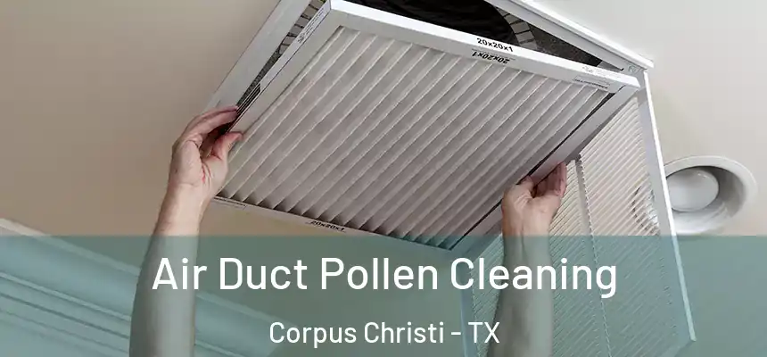 Air Duct Pollen Cleaning Corpus Christi - TX