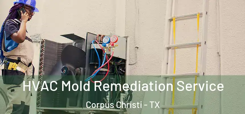 HVAC Mold Remediation Service Corpus Christi - TX