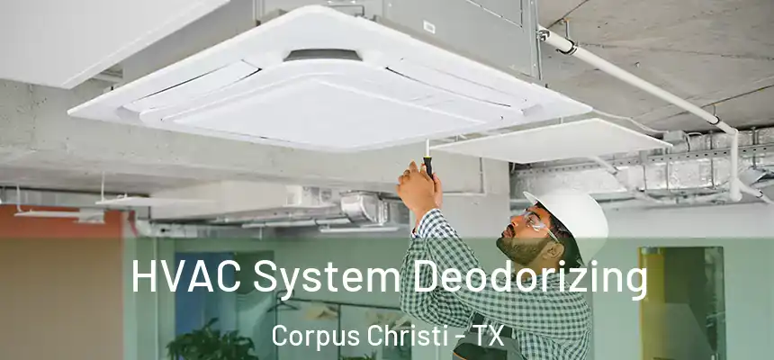 HVAC System Deodorizing Corpus Christi - TX