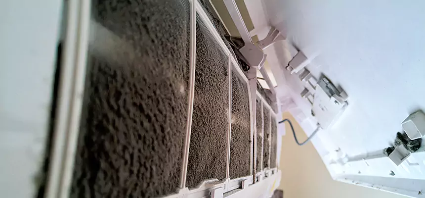 Preventive Air Duct Bacteria Removal in Corpus Christi