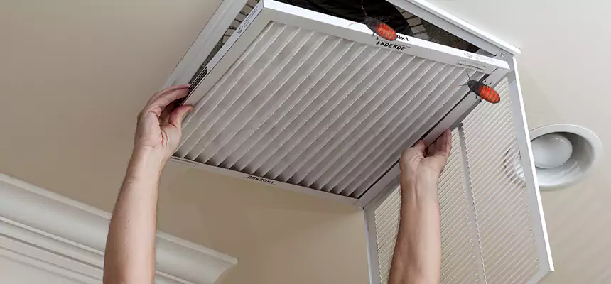 Preventive Cockroach-Proofing for Ducts in Corpus Christi