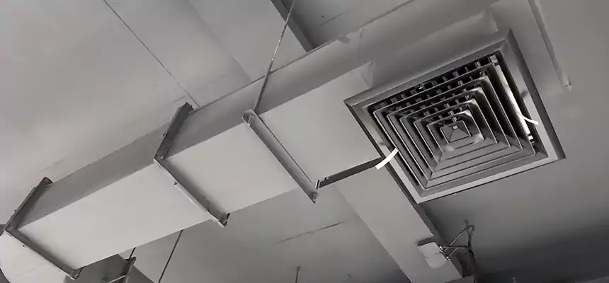 Our Pest Removal From Ducts Services in Corpus Christi, TX