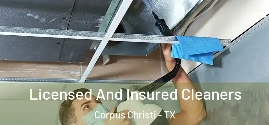 Licensed And Insured Cleaners Corpus Christi - TX