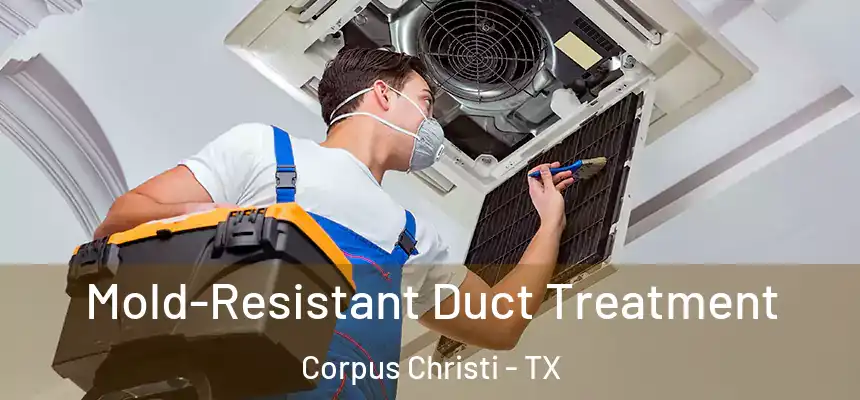 Mold-Resistant Duct Treatment Corpus Christi - TX