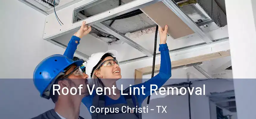 Roof Vent Lint Removal Corpus Christi - TX