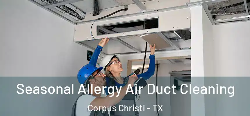Seasonal Allergy Air Duct Cleaning Corpus Christi - TX