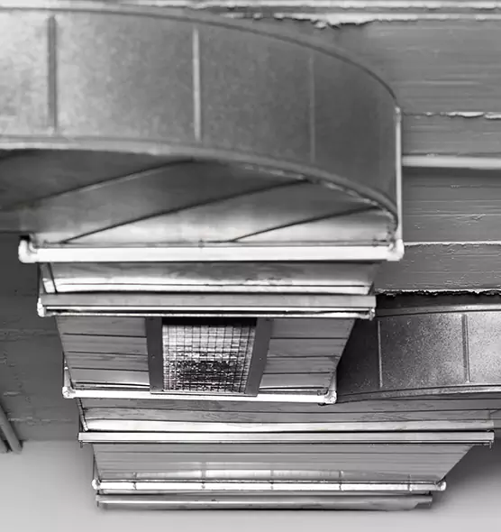 Professional Air Duct Pet Hair Removal in Corpus Christi, TX