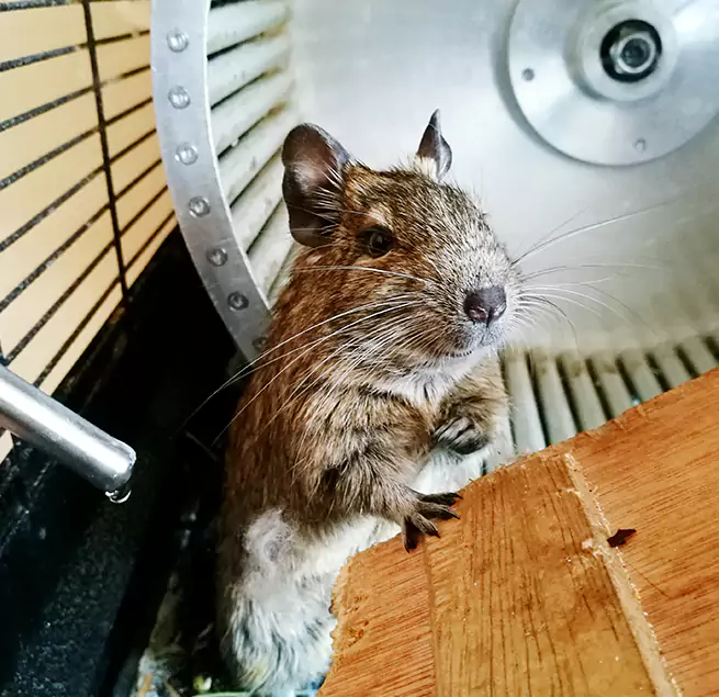 Why Homeowners & Businesses Trust Us Corpus Christi, TX?