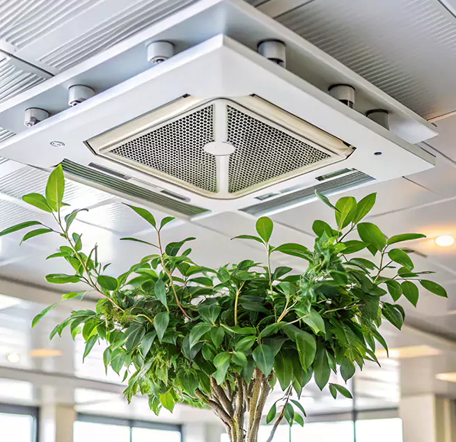 Why Homeowners & Businesses Trust Us in Corpus Christi, TX