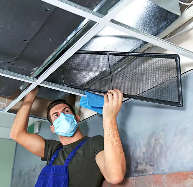 Why Homeowners Businesses Trust Us in Corpus Christi, TX